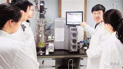 农科院学生爆料视频大全,揭秘校园生活与科研真相